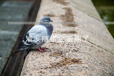 浦发随借金逾期了 浦发随借金逾期了