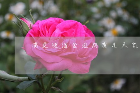 浦发随借金逾期有几天宽限时间 浦发随借金逾期有几天宽限时间