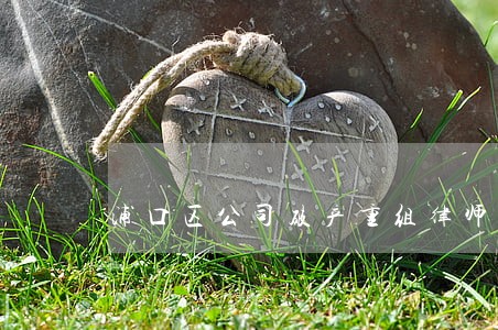 浦口区公司破产重组律师推荐 浦口区公司破产重组律师推荐