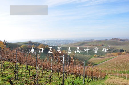 浦口区司法局叶雪峰