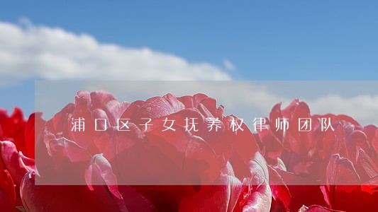 浦口区子女抚养权律师团队 浦口区子女抚养权律师团队