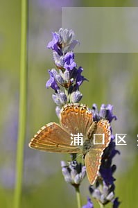 浦口区完全离婚律师收费 浦口区完全离婚律师收费