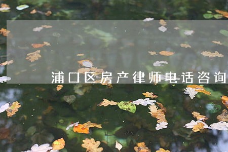 浦口区房产律师电话咨询 浦口区房产律师电话咨询