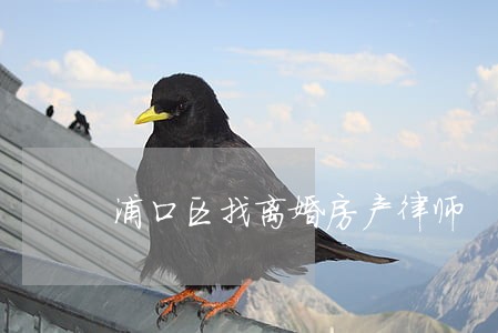 浦口区找离婚房产律师 浦口区找离婚房产律师