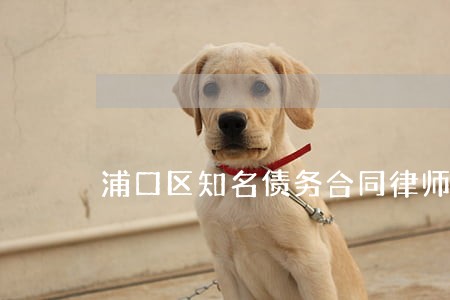 浦口区知名债务合同律师