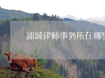 浦城律师事务所在哪里 浦城律师事务所在哪里