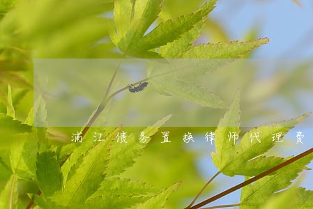 浦江债务置换律师代理费 浦江债务置换律师代理费