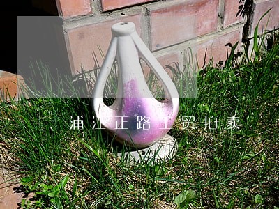浦江正路工贸拍卖 浦江正路工贸拍卖