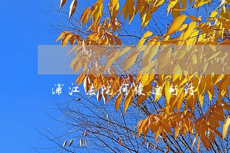 浦江法院何俊达电话 浦江法院何俊达电话
