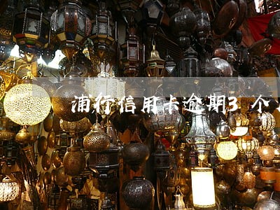 浦行信用卡逾期3个月了怎么办 浦行信用卡逾期3个月了怎么办