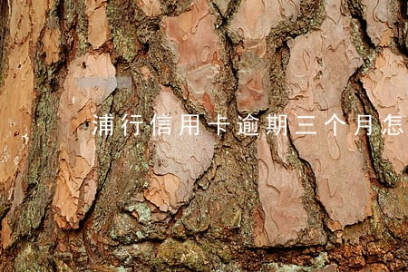 浦行信用卡逾期三个月怎么办 浦行信用卡逾期三个月怎么办