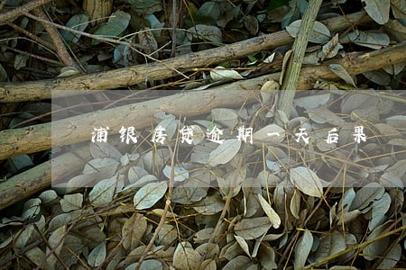 浦银房贷逾期一天后果 浦银房贷逾期一天后果