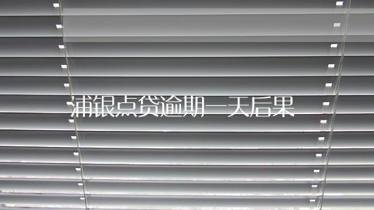 浦银点贷逾期一天后果 浦银点贷逾期一天后果