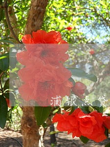 浦银点贷逾期一年多了 浦银点贷逾期一年多了