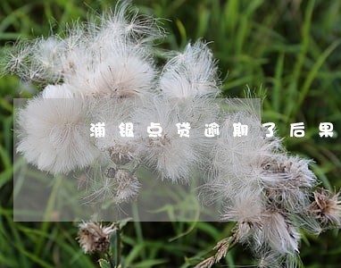 浦银点贷逾期了后果会怎样 浦银点贷逾期了后果会怎样