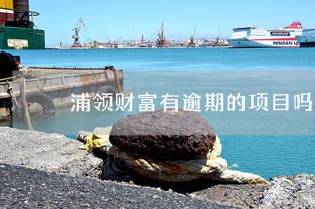 浦领财富有逾期的项目吗 浦领财富有逾期的项目吗