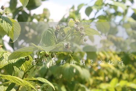 浩华北郡逾期怎么投诉 浩华北郡逾期怎么投诉