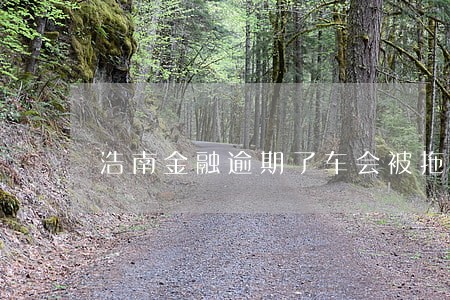 浩南金融逾期了车会被拖走吗 浩南金融逾期了车会被拖走吗
