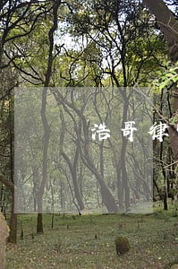 浩哥律师 浩哥律师