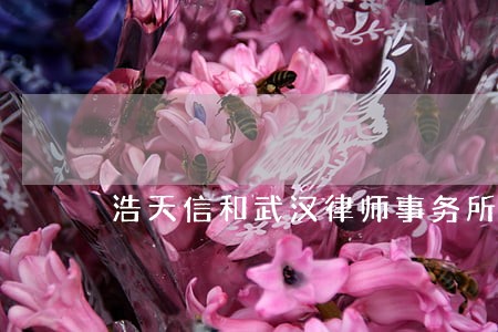 浩天信和武汉律师事务所 浩天信和武汉律师事务所