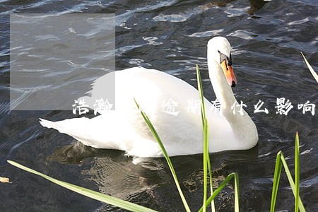 浩瀚金融逾期有什么影响 浩瀚金融逾期有什么影响