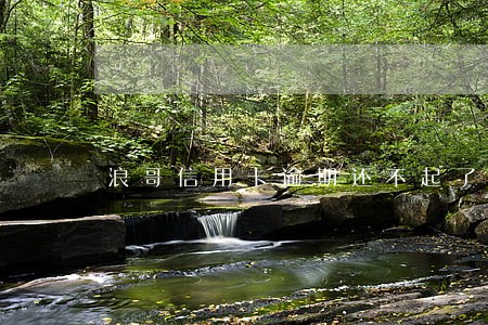 浪哥信用卡逾期还不起了 浪哥信用卡逾期还不起了