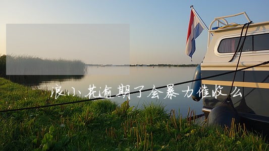 浪小花逾期了会暴力催收么