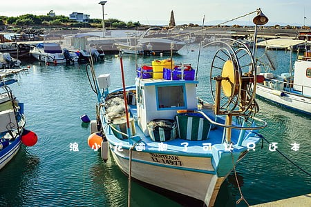 浪小花逾期了可以只还本金吗 浪小花逾期了可以只还本金吗