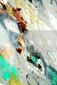 浪小花逾期会上征信吗 浪小花逾期会上征信吗