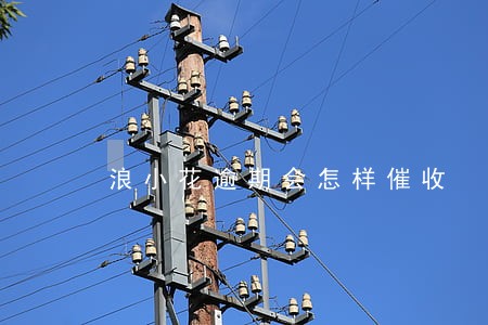 浪小花逾期会怎样催收 浪小花逾期会怎样催收