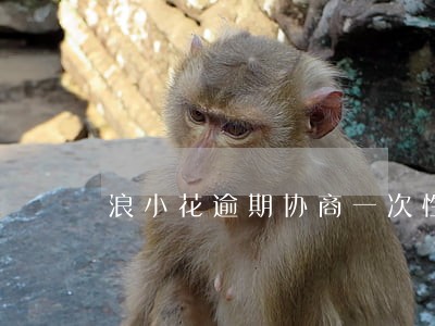 浪小花逾期协商一次性还清 浪小花逾期协商一次性还清