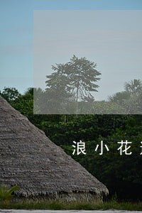 浪小花逾期后果 浪小花逾期后果