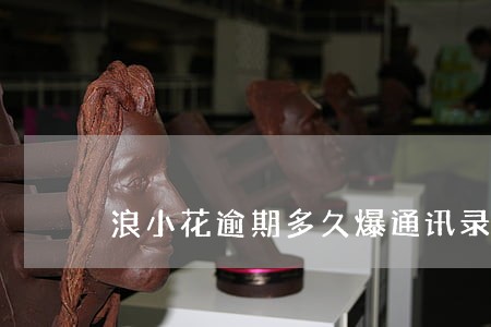浪小花逾期多久爆通讯录 浪小花逾期多久爆通讯录