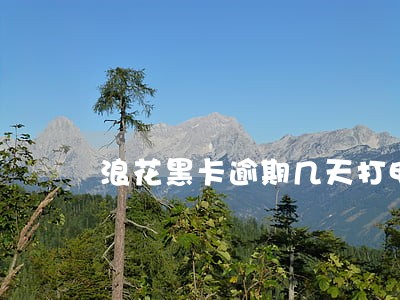 浪花黑卡逾期几天打电话 浪花黑卡逾期几天打电话