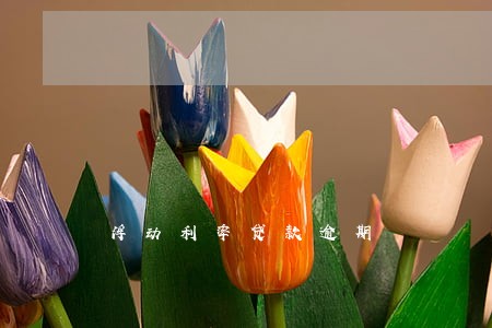 浮动利率贷款逾期 浮动利率贷款逾期