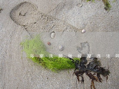 浴室洗脚做按摩违法吗 浴室洗脚做按摩违法吗