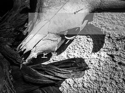 海上案件司法解释 海上案件司法解释