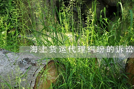 海上货运代理纠纷的诉讼时效 海上货运代理纠纷的诉讼时效