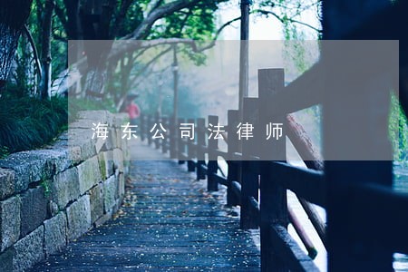 海东公司法律师 海东公司法律师