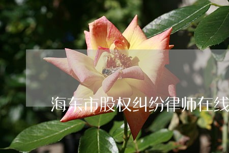 海东市股权纠纷律师在线免费咨询 海东市股权纠纷律师在线免费咨询
