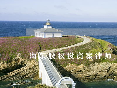 海东股权投资案律师
