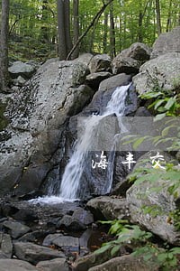 海丰交通违法大曝光之乱停乱放