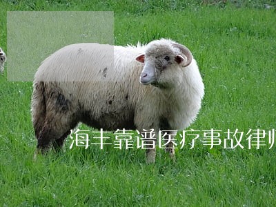 海丰靠谱医疗事故律师 海丰靠谱医疗事故律师