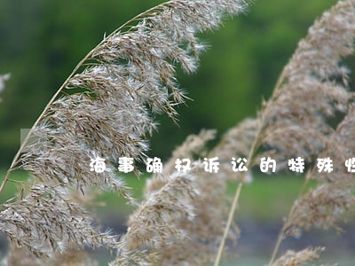海事确权诉讼的特殊性 海事确权诉讼的特殊性