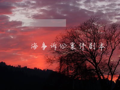 海事诉讼案件剧本 海事诉讼案件剧本