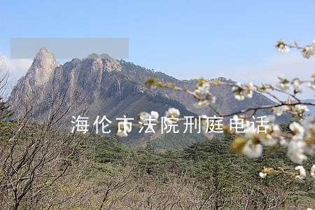 海伦市法院刑庭电话