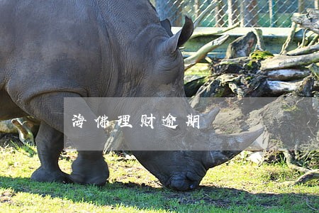 海佛理财逾期 海佛理财逾期