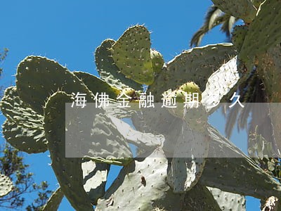 海佛金融逾期多久 海佛金融逾期多久