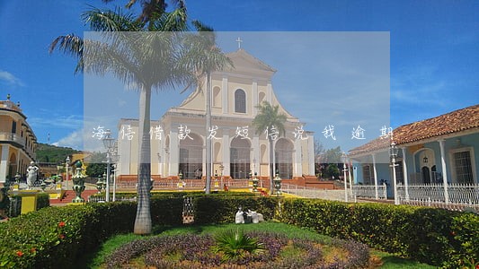 海信借款发短信说我逾期