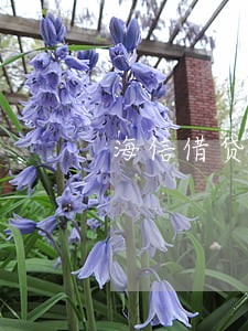 海信借贷逾期